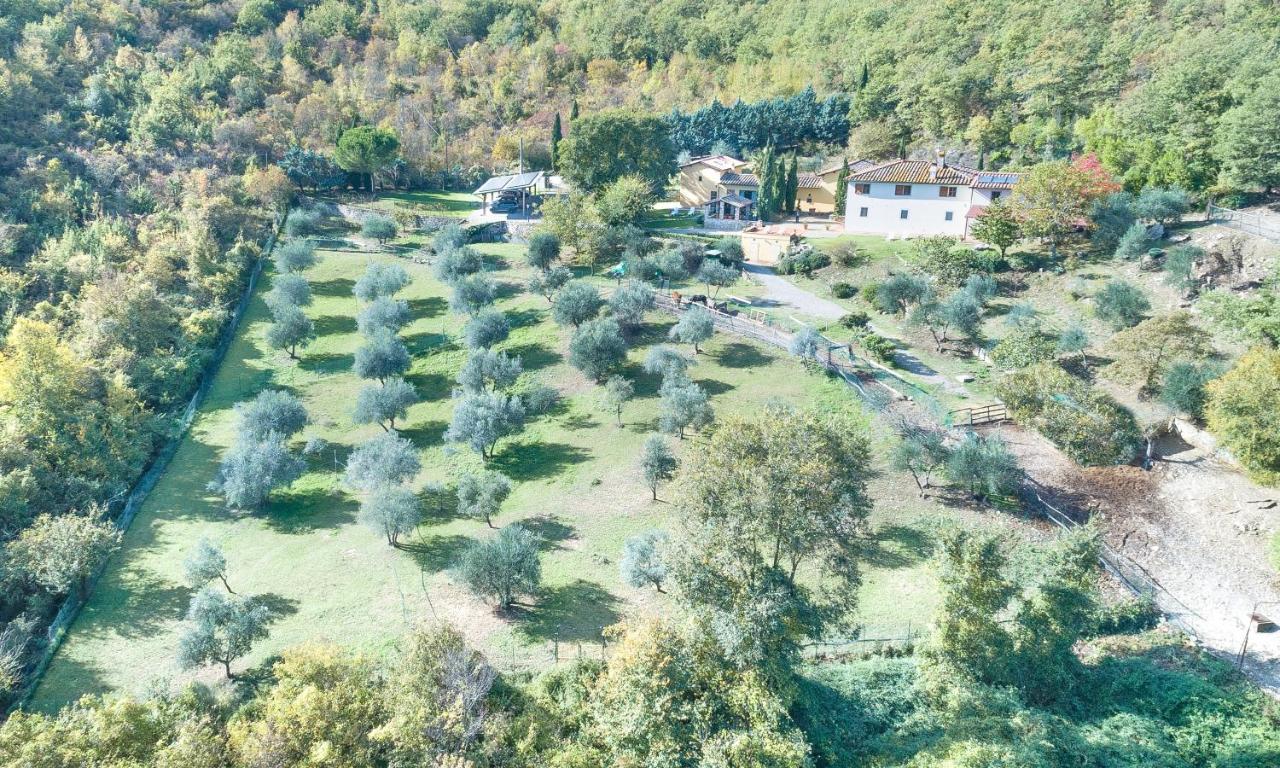 Bed and Breakfast Casignano Баньо-а-Риполи Экстерьер фото